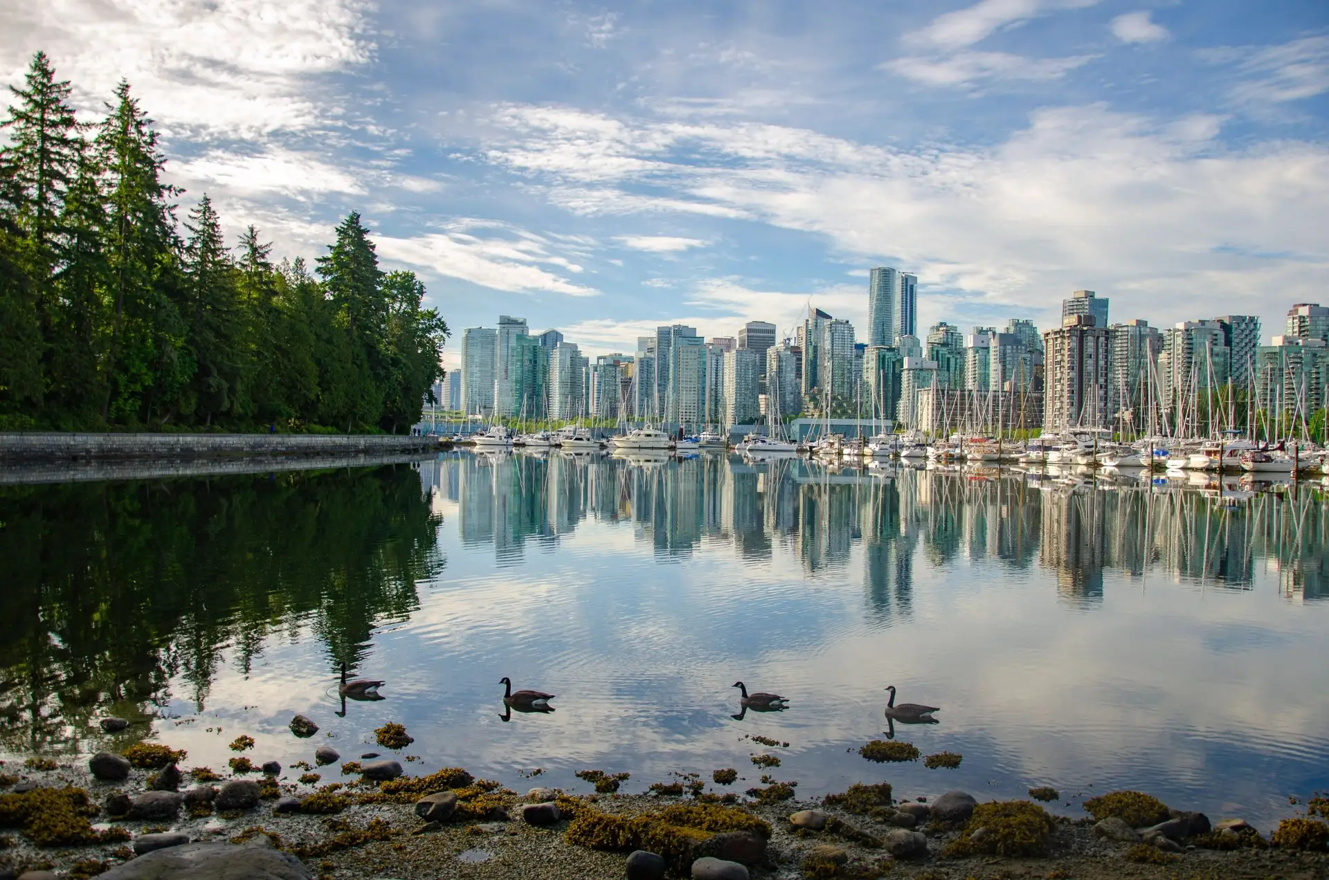 Vancouver skyline seen from Stanley Park
